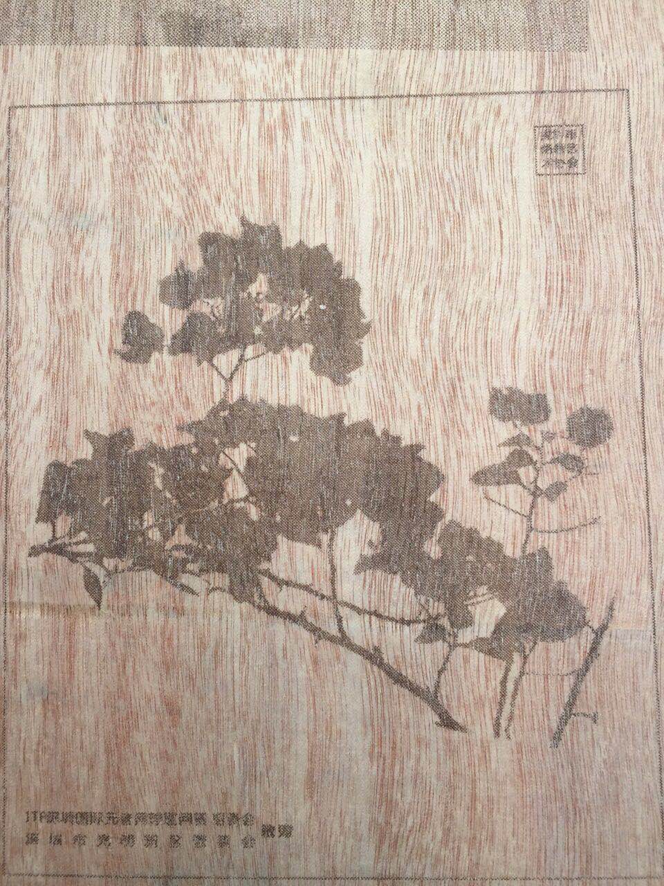 是喜是憂總統(tǒng)特朗普被彈劾是一件好事嗎？